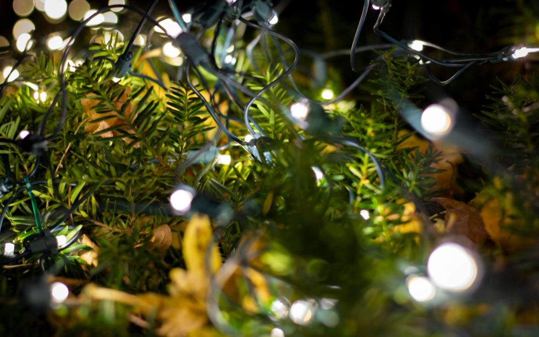 Holiday Light Safety Tips for a Safe and Bright Winter Season